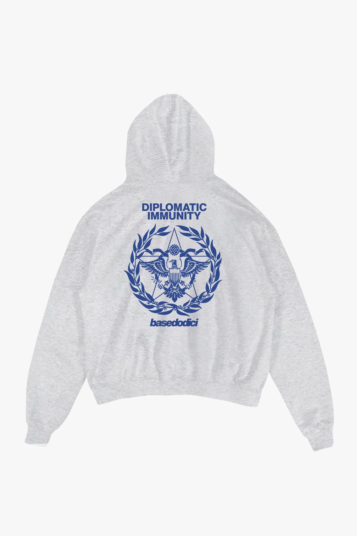 Hoodie "WORLD TOUR" Diplomatic Immunity AshGrey