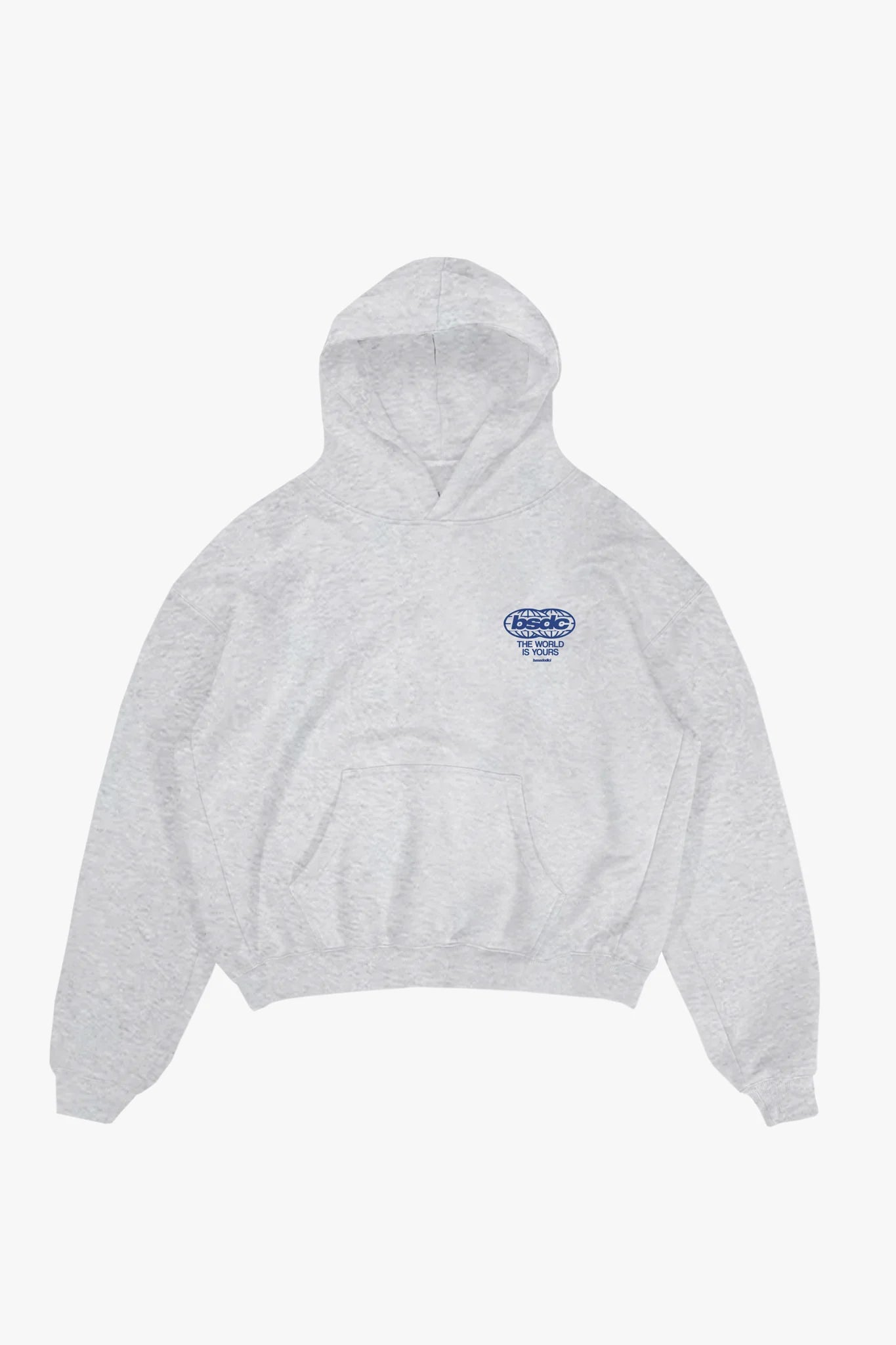Hoodie "WORLD TOUR" Diplomatic Immunity AshGrey